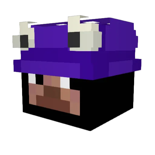 Wawan37 Minecraft avatar head, 3D render