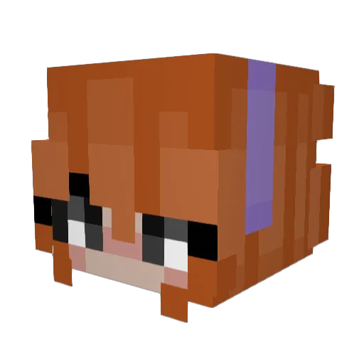 Wawasabii Minecraft avatar head, 3D render