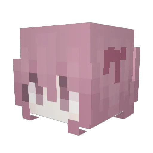 Wawna Minecraft avatar head, 3D render