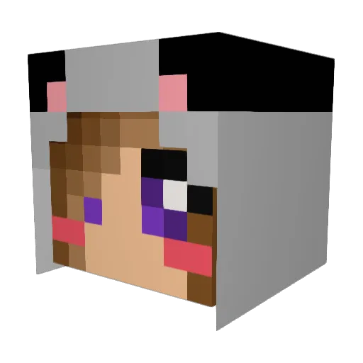 Wawtamelon Minecraft avatar head, 3D render