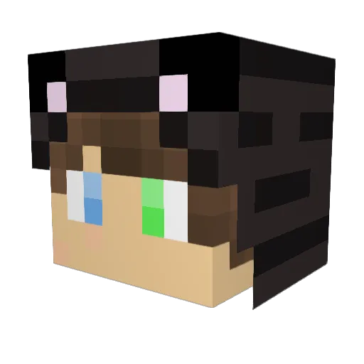 Waxon75 Minecraft avatar head, 3D render