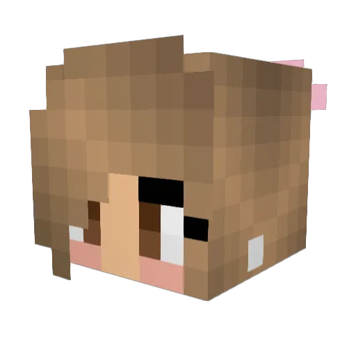 WaxyQc Minecraft avatar head, 3D render