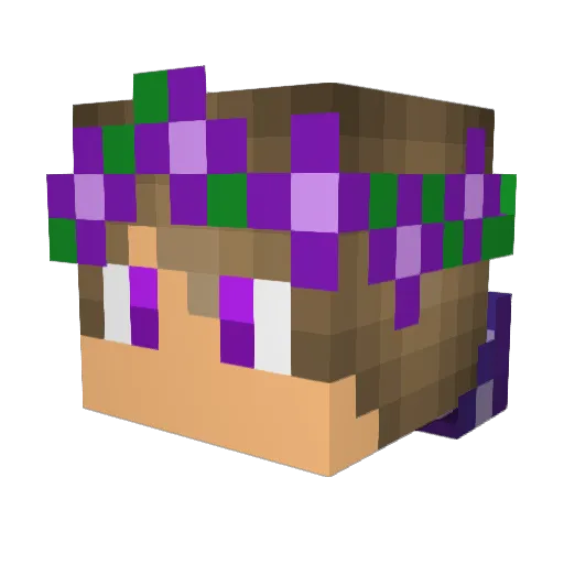 WayTooAwkward Minecraft avatar head, 3D render