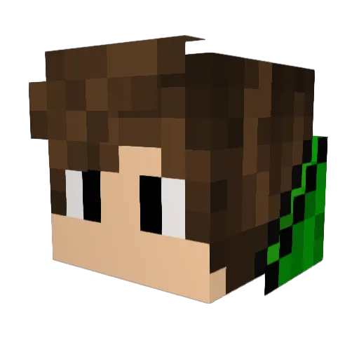 Wayde024 Minecraft avatar head, 3D render