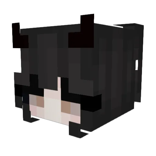 WayfairCabinet Minecraft avatar head, 3D render