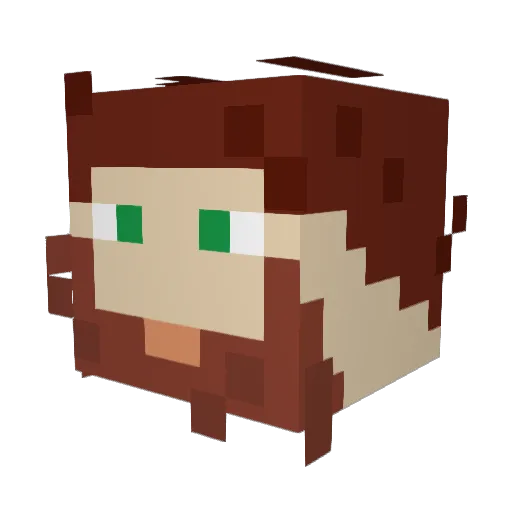 Waylonfan01 Minecraft avatar head, 3D render