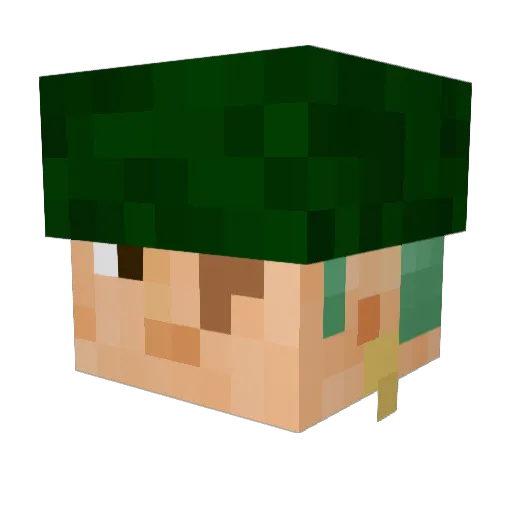 Wayne120 Minecraft avatar head, 3D render