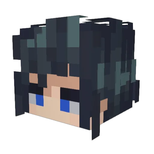 Wayne843 Minecraft avatar head, 3D render