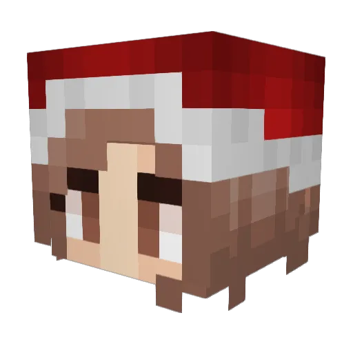 Wayne_Contello Minecraft avatar head, 3D render