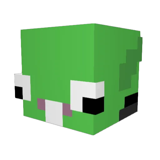 Wayriikx Minecraft avatar head, 3D render