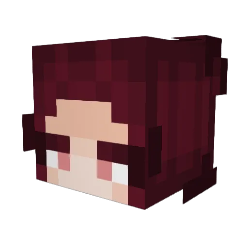 WaywardCosmos Minecraft avatar head, 3D render