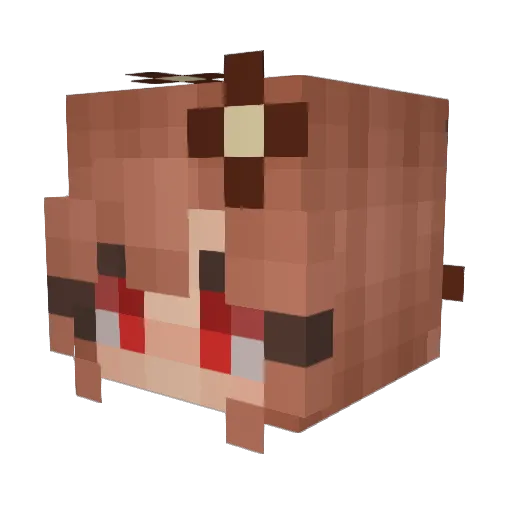 Wayward_Daffodil Minecraft avatar head, 3D render