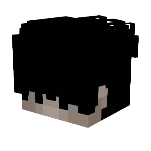 Wazar_ Minecraft avatar head, 3D render