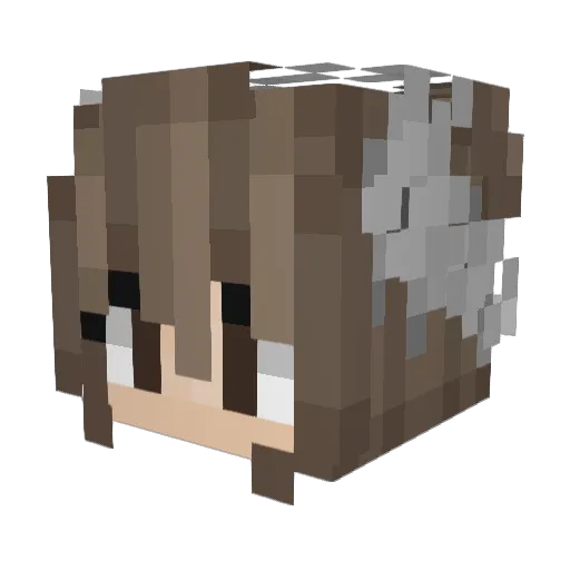 WazeM154 Minecraft avatar head, 3D render