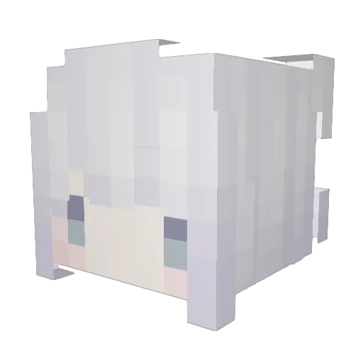 WaziF Minecraft avatar head, 3D render