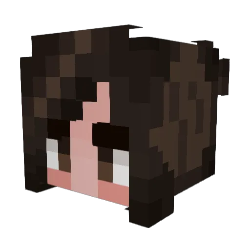 WaznSensationz Minecraft avatar head, 3D render