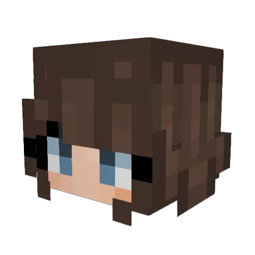 Wazzerdoodle Minecraft avatar head, 3D render