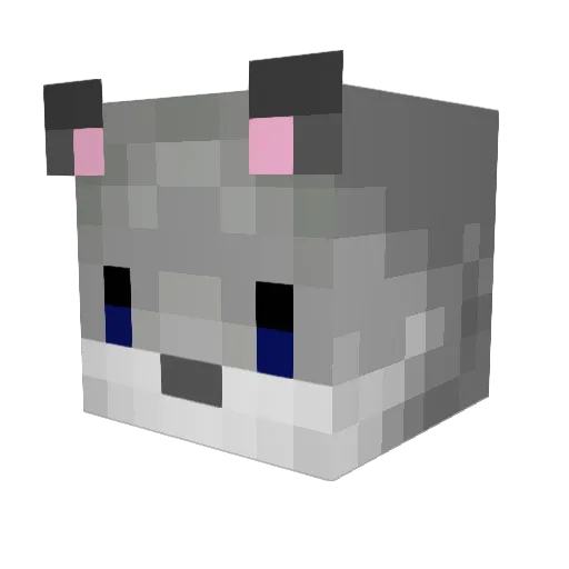Wazzok03 Minecraft avatar head, 3D render