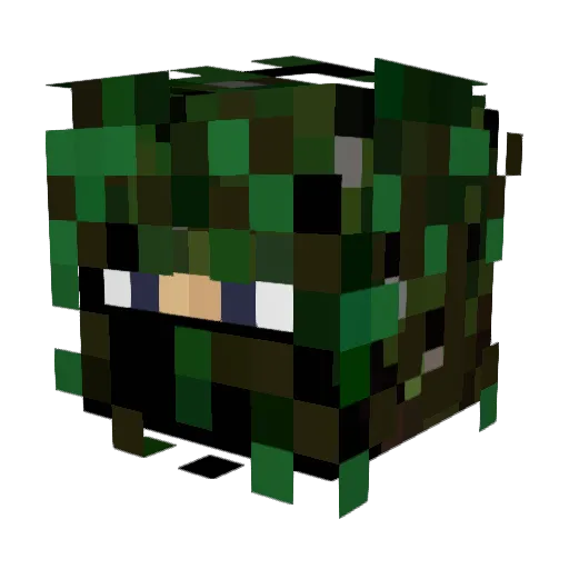 Wazzonick Minecraft avatar head, 3D render