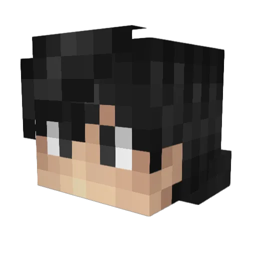 Wball23 Minecraft avatar head, 3D render