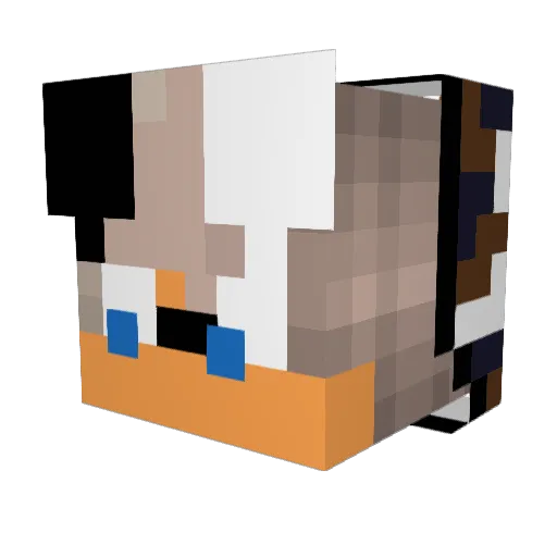 Wbhl1126 Minecraft avatar head, 3D render