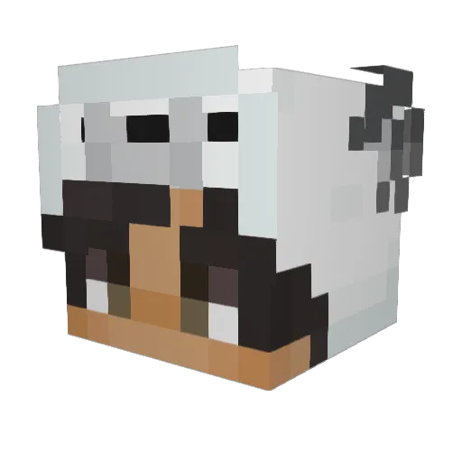 WcaleNieWolny Minecraft avatar head, 3D render
