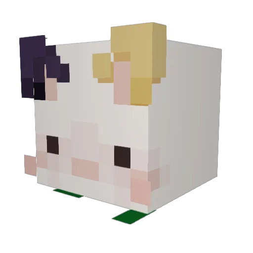 Wcar Minecraft avatar head, 3D render