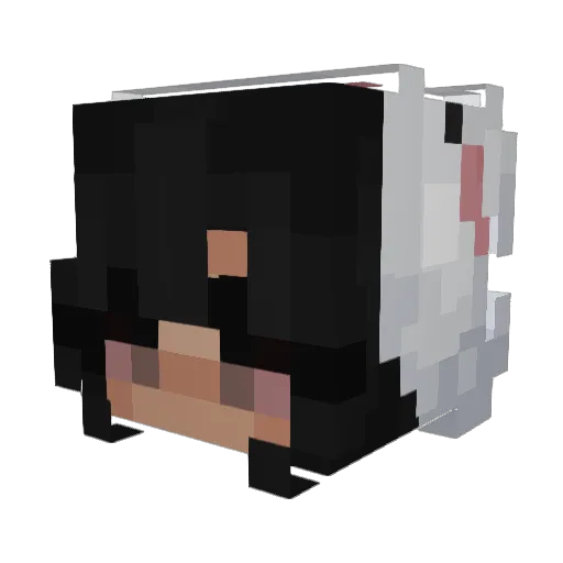 Wcuu Minecraft avatar head, 3D render