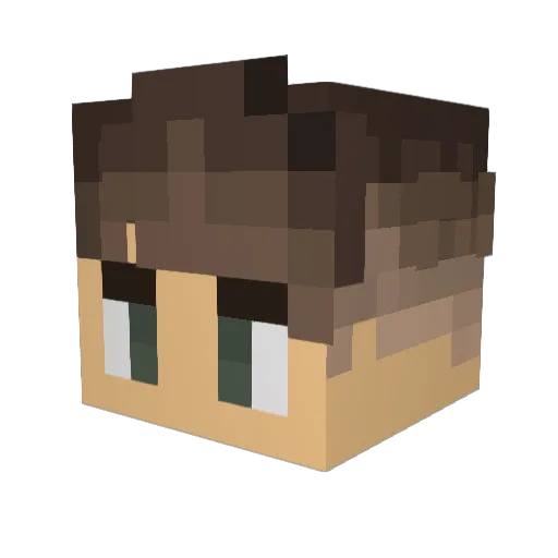 Wcxj7 Minecraft avatar head, 3D render