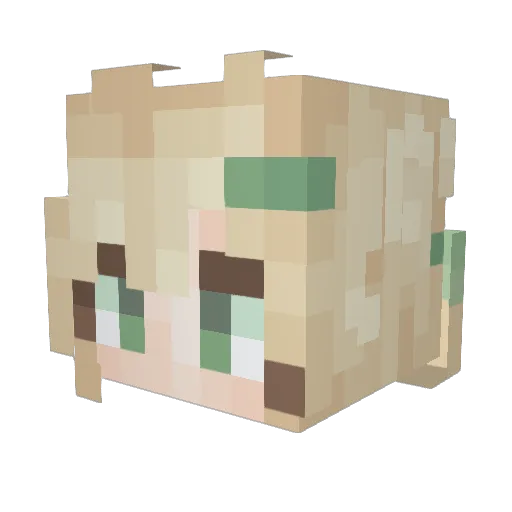 Wdnmd_nmsl233 Minecraft avatar head, 3D render
