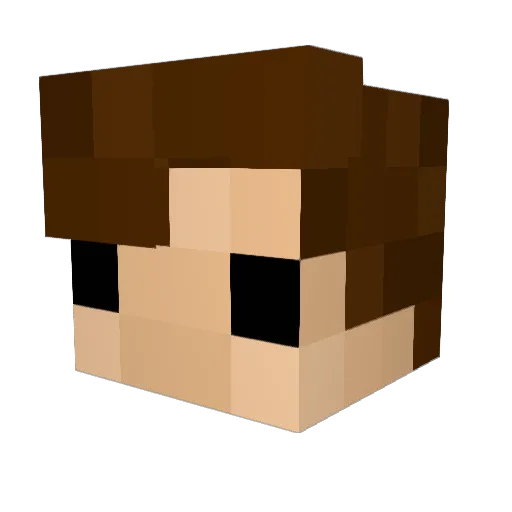 Wdym_8 Minecraft avatar head, 3D render
