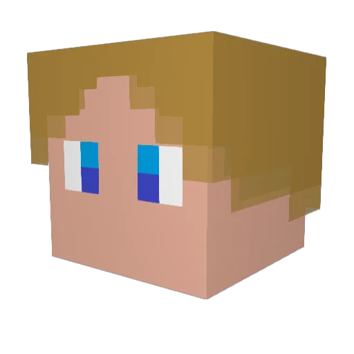 We3kZ_ Minecraft avatar head, 3D render