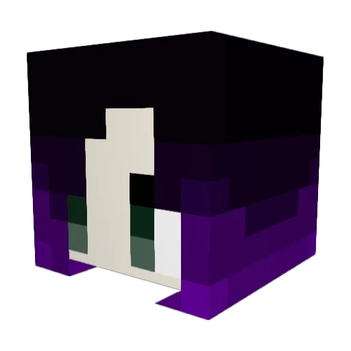 We6nes6ay Minecraft avatar head, 3D render
