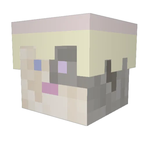 WeALLPlay Minecraft avatar head, 3D render