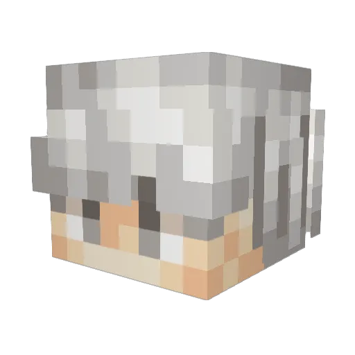 WeAreDiamondss Minecraft avatar head, 3D render