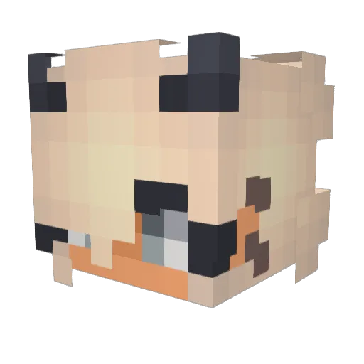 WeAreVenom9404 Minecraft avatar head, 3D render