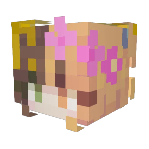 WeCanBeeBees Minecraft avatar head, 3D render