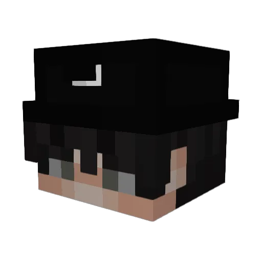 WeChillingsDog Minecraft avatar head, 3D render