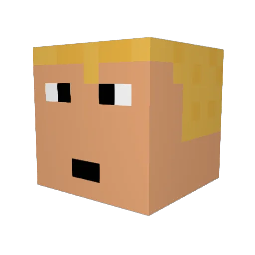 WeEman0026 Minecraft avatar head, 3D render