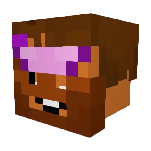 WeFailAtLife Minecraft avatar head, 3D render