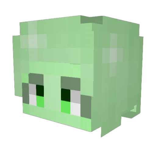 WeGotBagelsWOO Minecraft avatar head, 3D render