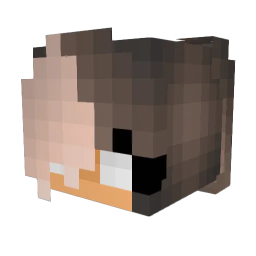 WeHaveBamboo Minecraft avatar head, 3D render