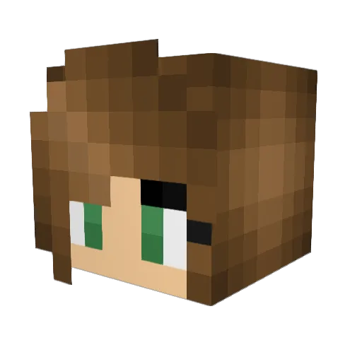 WeLoveMusic Minecraft avatar head, 3D render