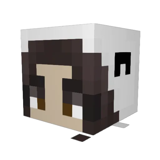 WeNoHm Minecraft avatar head, 3D render