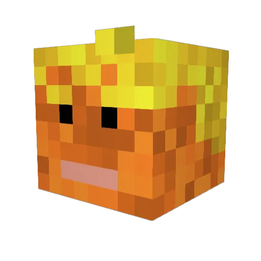 WeSGunny Minecraft avatar head, 3D render