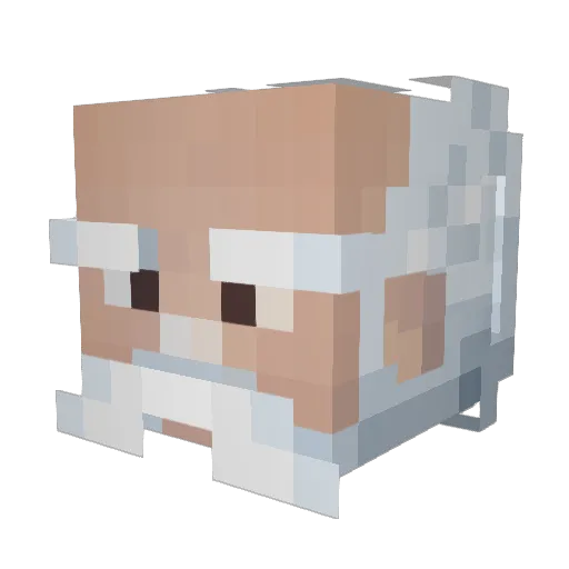 WeSoow_ Minecraft avatar head, 3D render