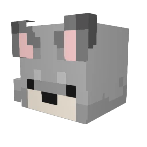We_Weasel Minecraft avatar head, 3D render