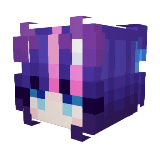 Weakhungry_ Minecraft avatar head, 3D render