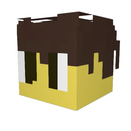 Wealdzer98 Minecraft avatar head, 3D render