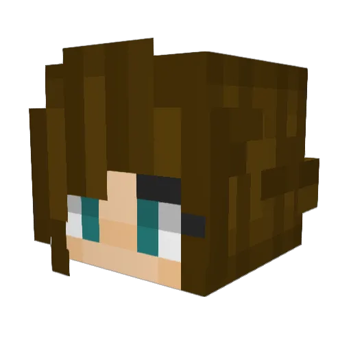 WeaponMaster207 Minecraft avatar head, 3D render